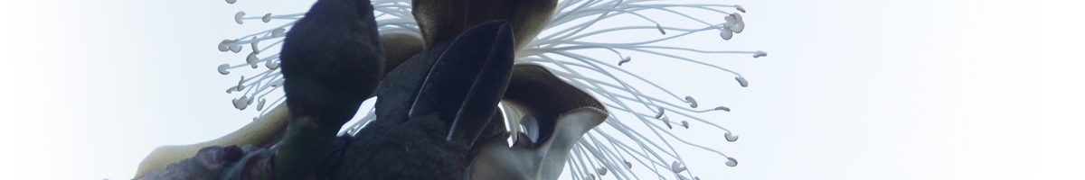 All things cheap and fun….